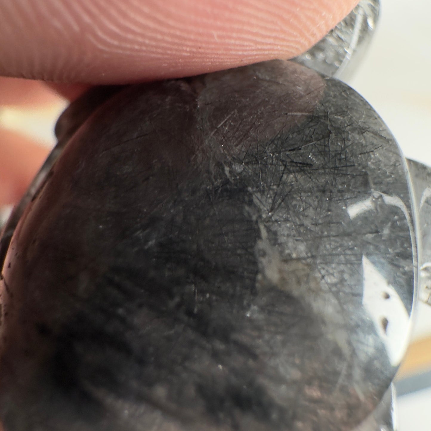 Gorgeous Blue Tara Quartz Turtle Carving Amphibole Animal From Brazil | Tucson Gem Show Exclusive