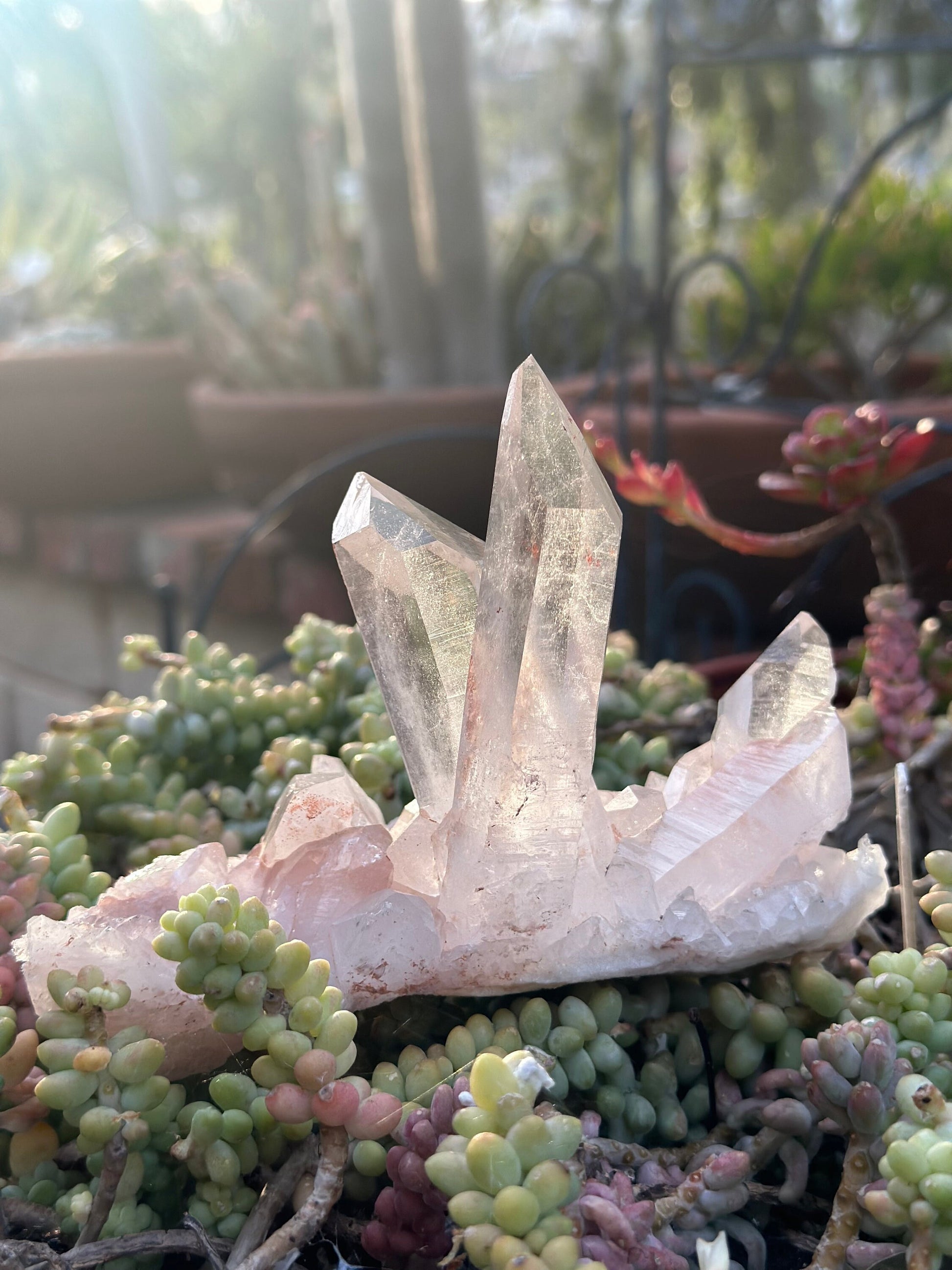 Amazing XL High Quality Pink Himalayan Quartz From India - Statement Piece
