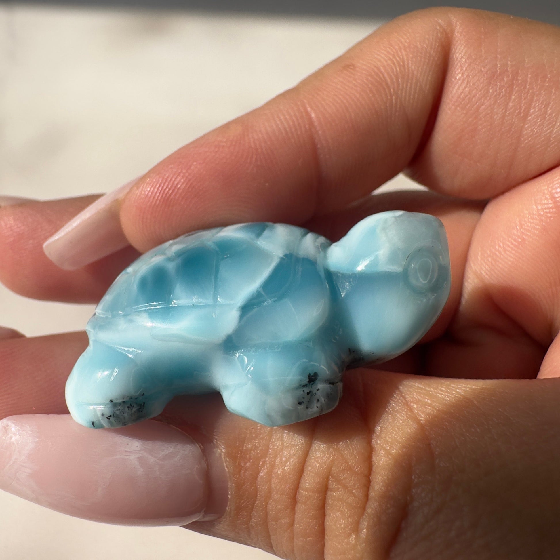 Stunning Larimar Turtle Carving High-Quality Grade AAA+ From The Dominican Republic Carved In China | Tucson Gem Show Exclusive