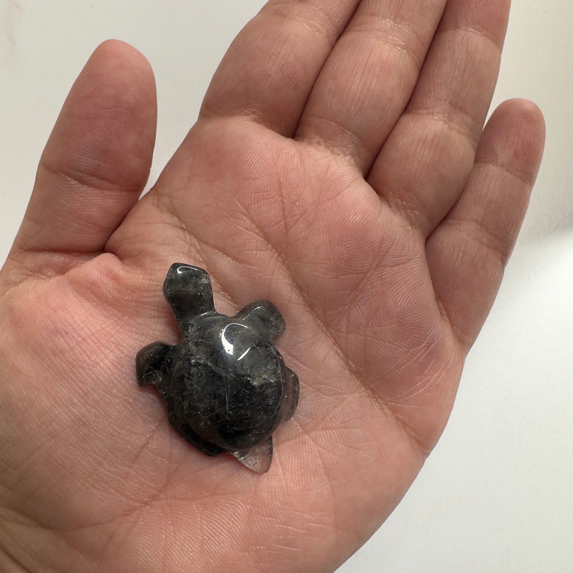 Gorgeous Blue Tara Quartz Turtle Carving Amphibole Animal From Brazil | Tucson Gem Show Exclusive