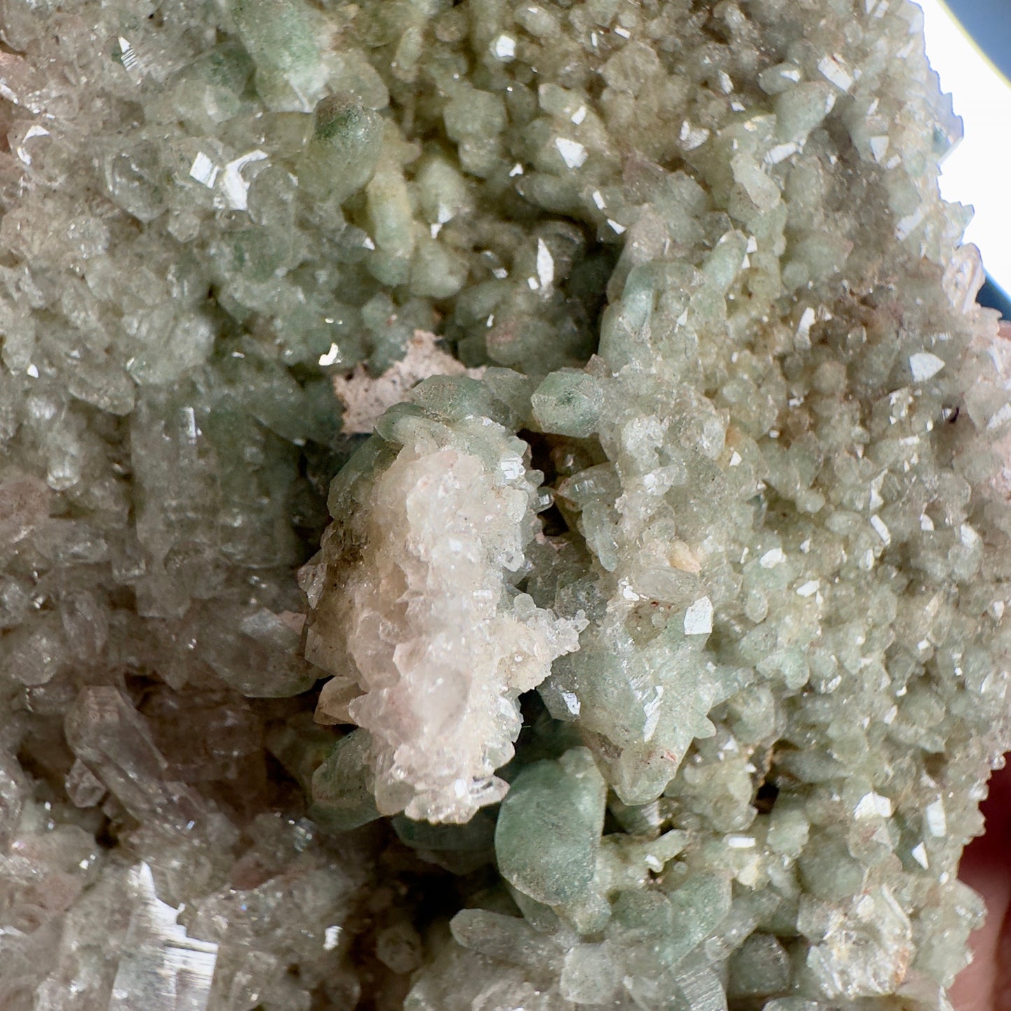 Rare Pink Himalayan Samadhi Quartz With Chlorite High-Quality Genuine Specimen Crystal from India | Tucson Gem Show Exclusive