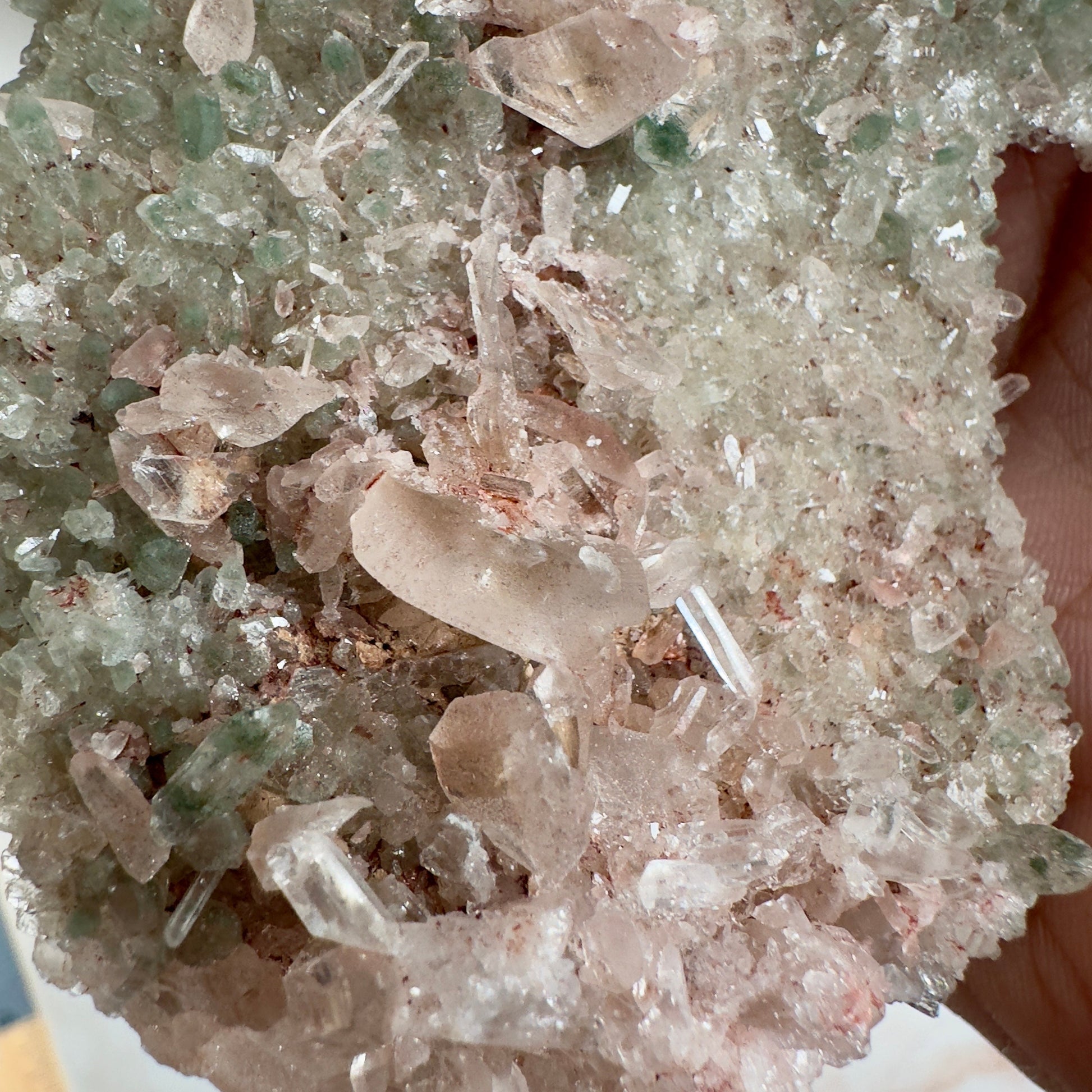 Rare Pink Himalayan Samadhi Quartz With Chlorite High-Quality Genuine Specimen Crystal from India | Tucson Gem Show Exclusive