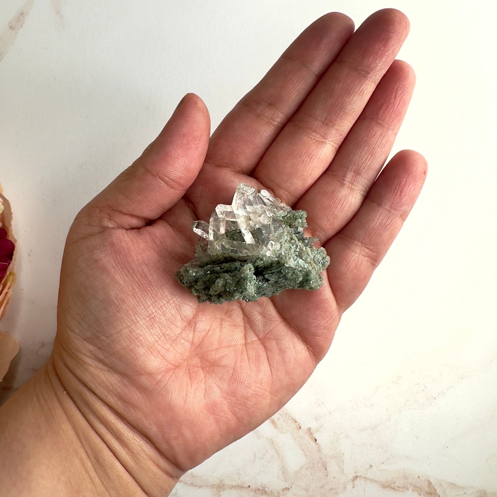 Beautiful Chlorite Himalayan Specimen Cluster With Rutile Inclusions From India AAA+ grade | Tucson Gem Show Exclusive