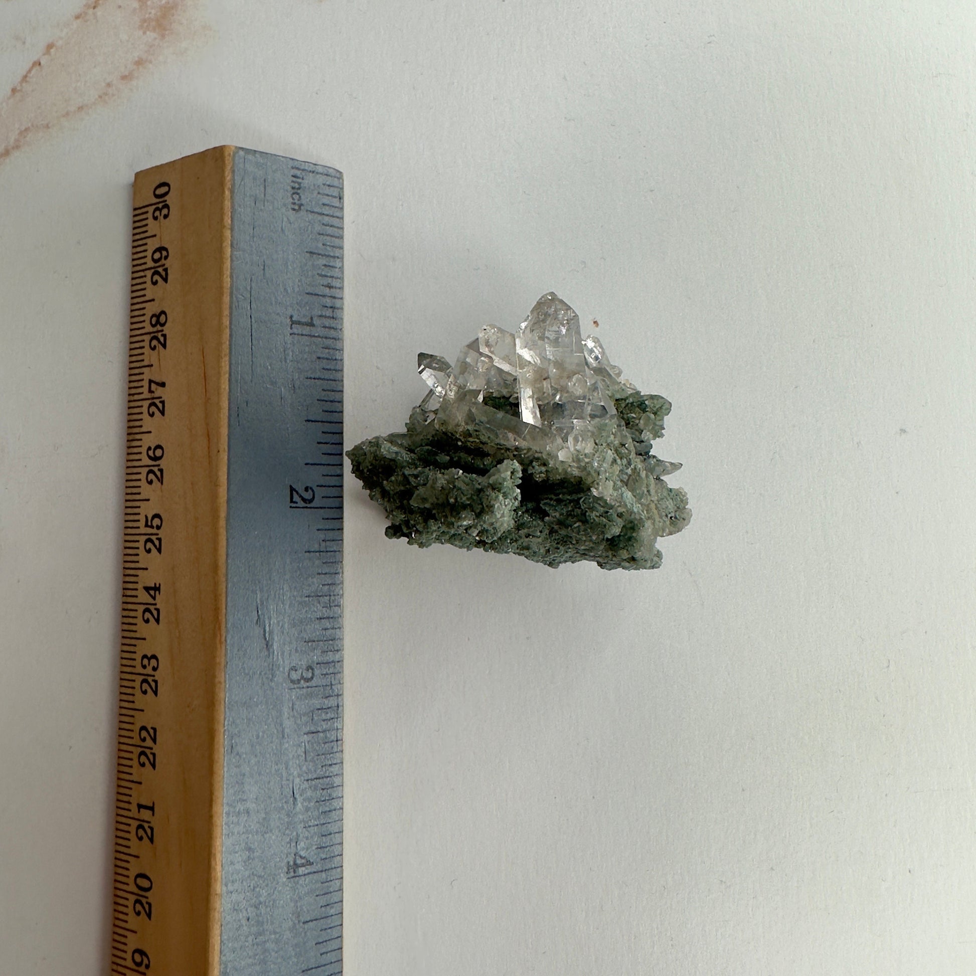 Beautiful Chlorite Himalayan Specimen Cluster With Rutile Inclusions From India AAA+ grade | Tucson Gem Show Exclusive