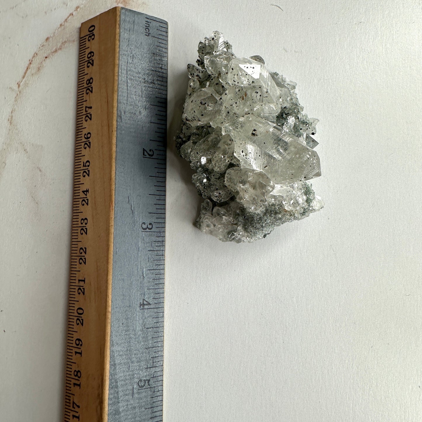 Chlorite Himalayan Quartz Specimen Cluster With Anatase From India AAA+ grade | Tucson Gem Show Exclusive