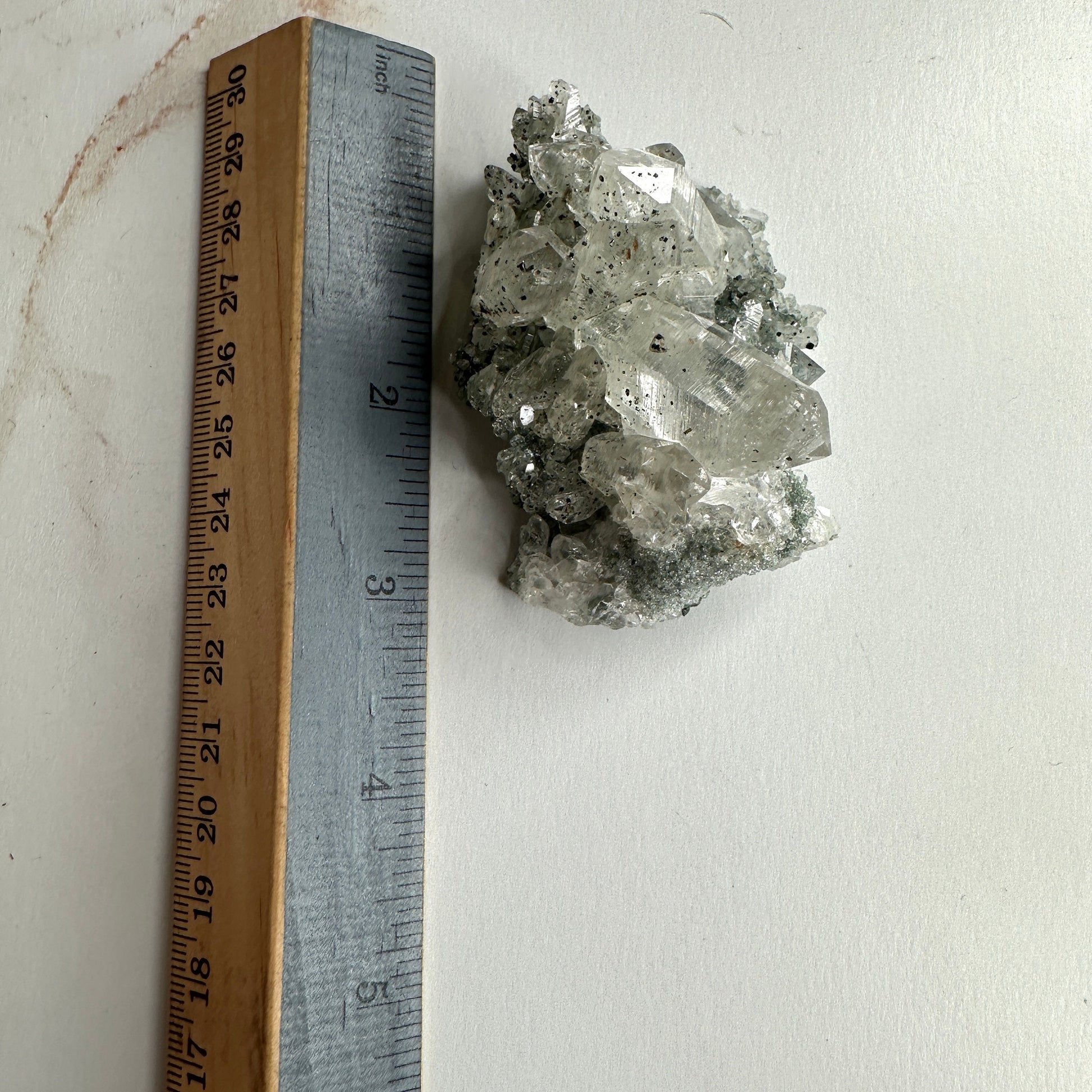 Chlorite Himalayan Quartz Specimen Cluster With Anatase From India AAA+ grade | Tucson Gem Show Exclusive