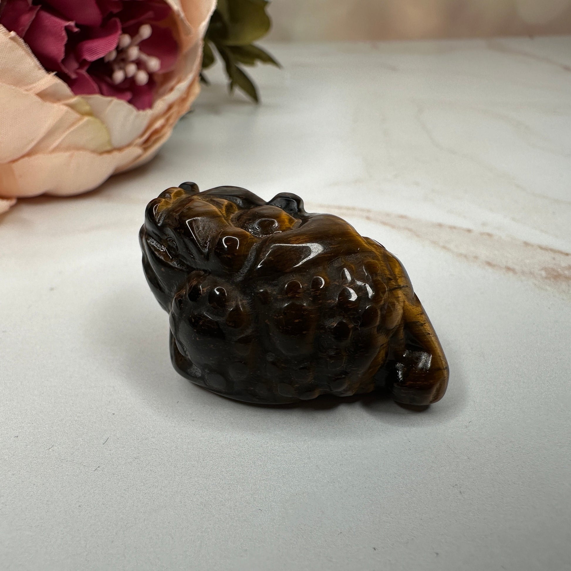 Mini Money Toad in Tiger-Eye Master Carved | Pocket size