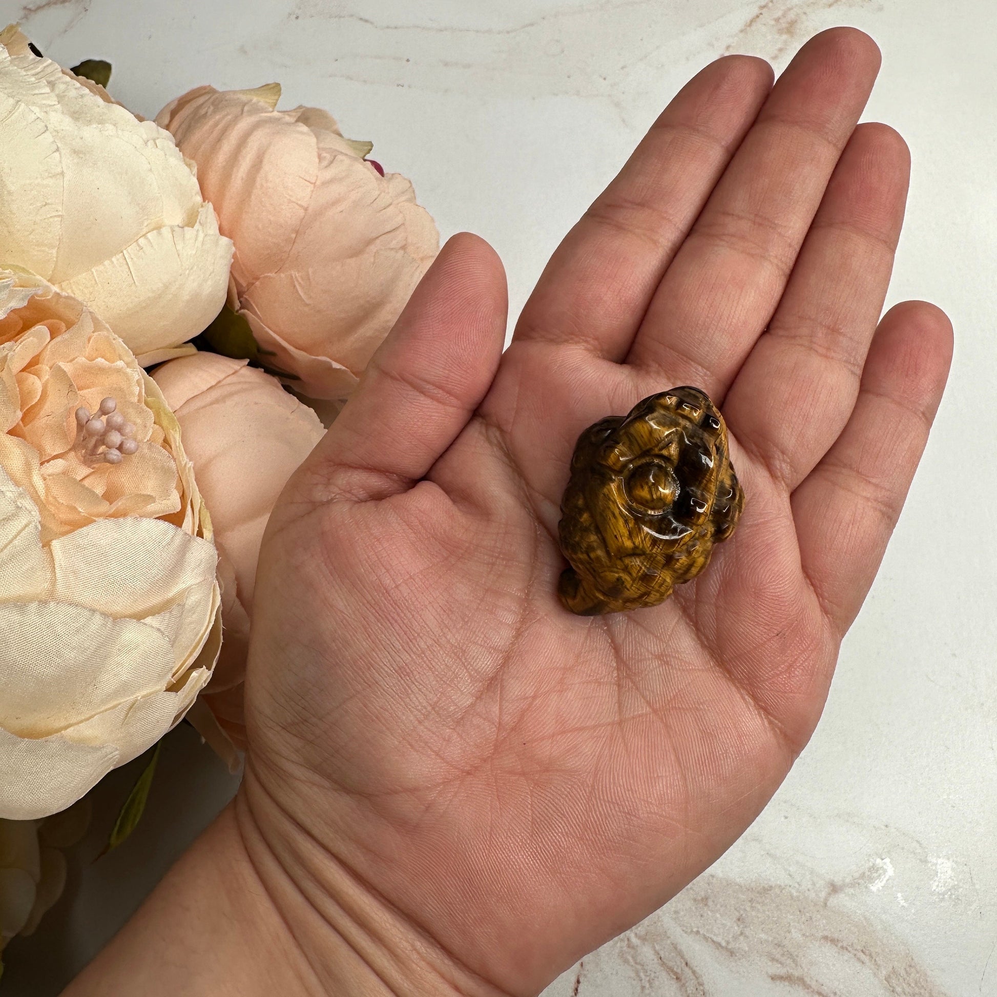 Mini Money Toad in Tiger-Eye Master Carved | Pocket size