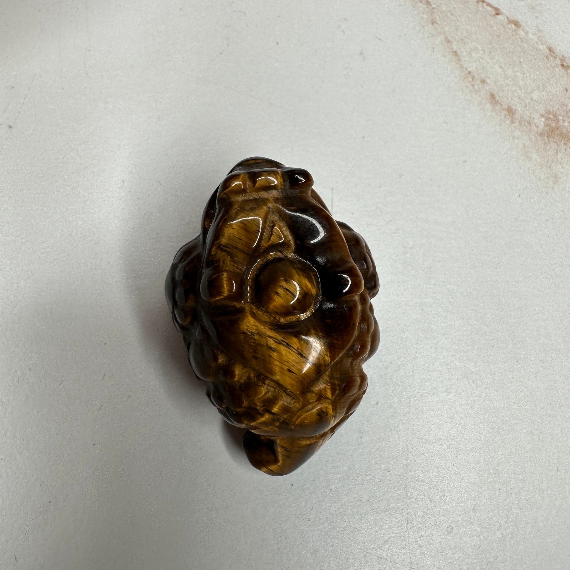 Mini Money Toad in Tiger-Eye Master Carved | Pocket size