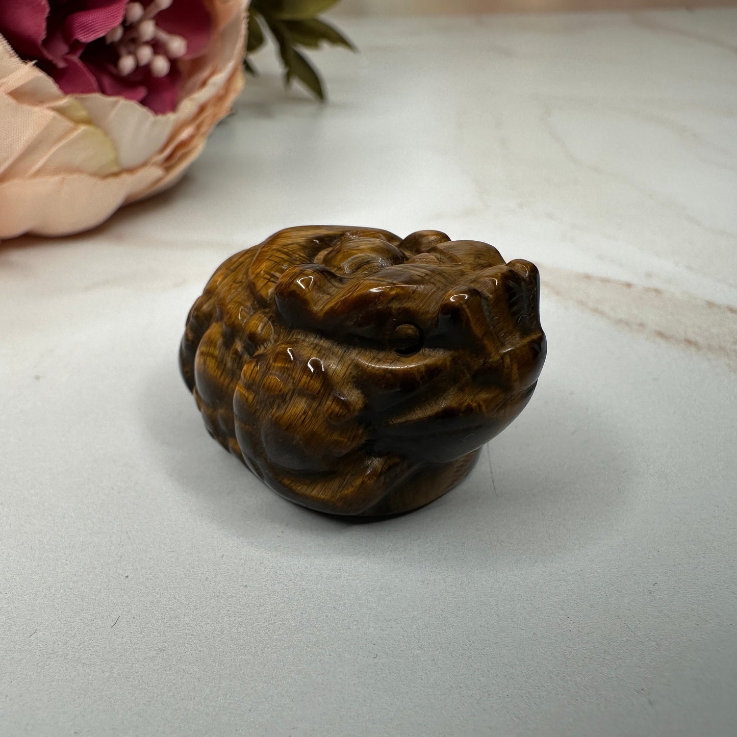Mini Money Toad in Tiger-Eye Master Carved | Pocket size