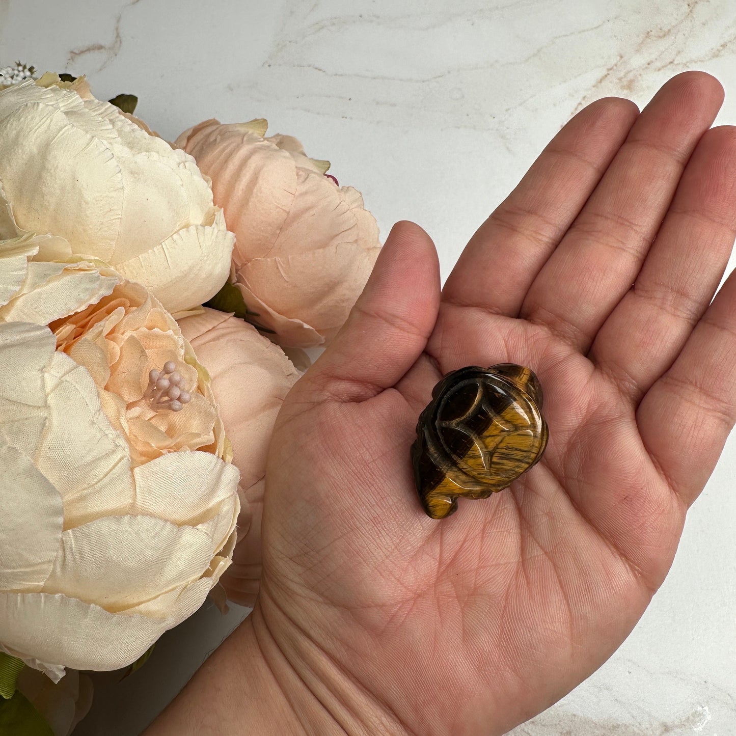 Mini Money Toad in Tiger-Eye Master Carved | Pocket size