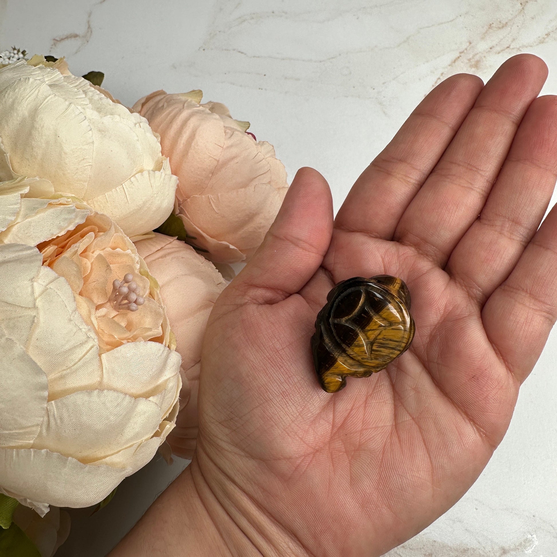 Mini Money Toad in Tiger-Eye Master Carved | Pocket size