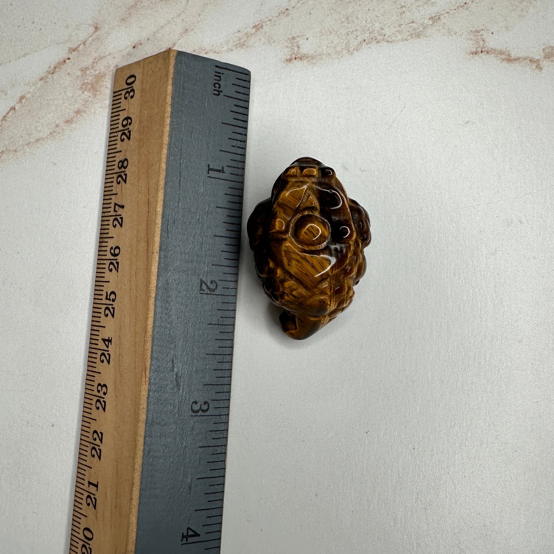 Mini Money Toad in Tiger-Eye Master Carved | Pocket size