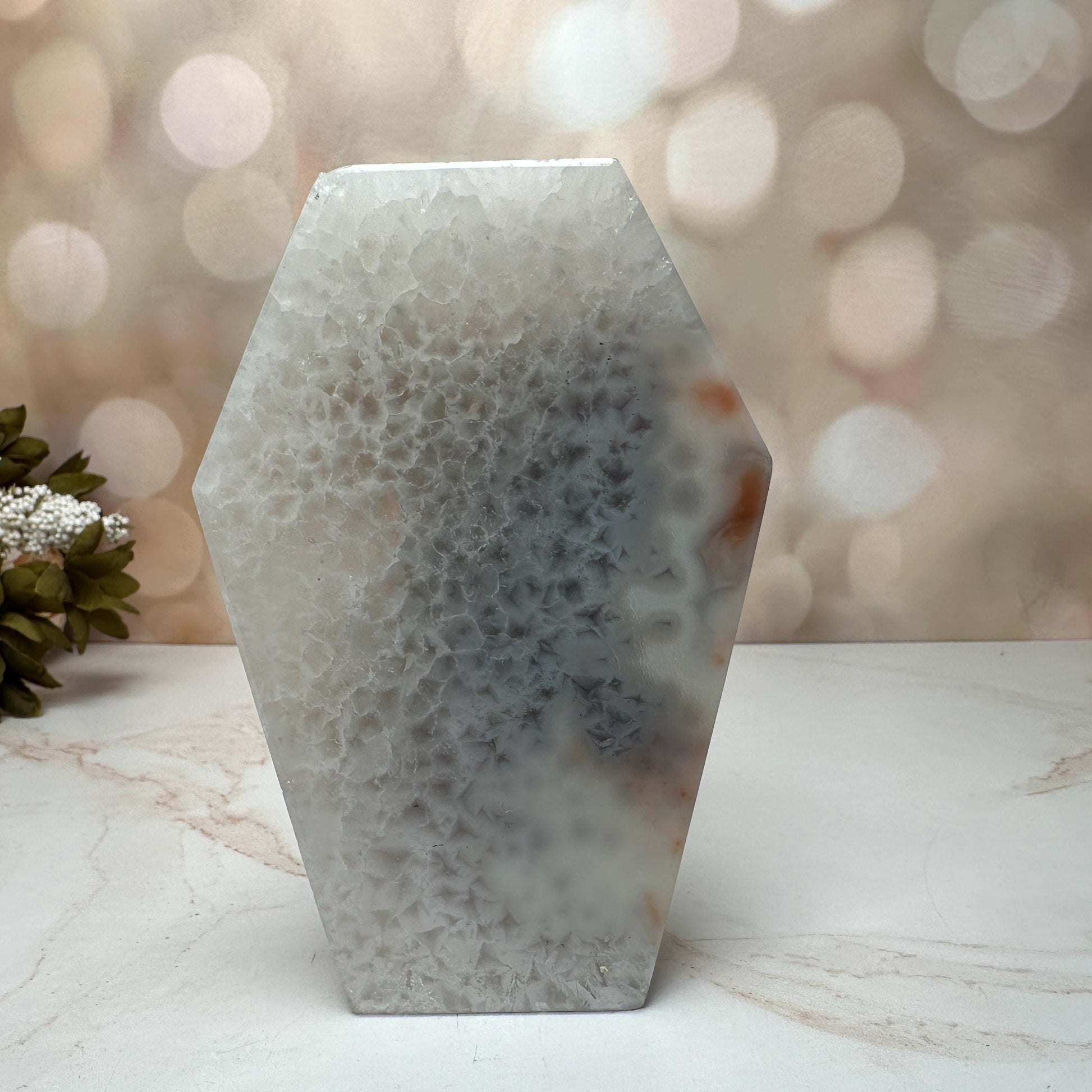 Gorgeous Agate Coffin From Brazil | Tucson Gem Show Exclusive