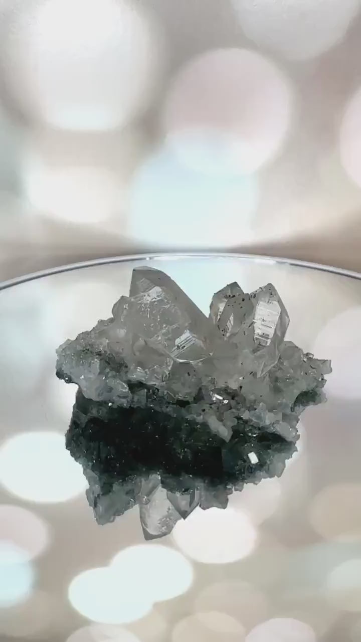 Chlorite Himalayan Quartz Specimen Cluster With Anatase From India AAA+ grade | Tucson Gem Show Exclusive
