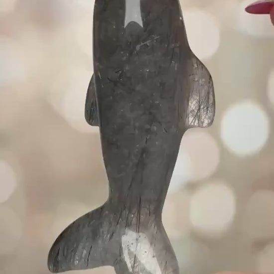 Gorgeous Blue Tara Quartz Whale Carving Amphibole Animal From Brazil | Tucson Gem Show Exclusive